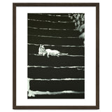 Cat On Stairs thumbnail
