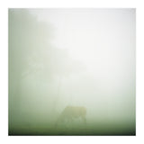 Silence of breath - 09 (Print Only) thumbnail