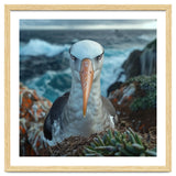 Black Browed Albatross Perched On Nest Near Ocean thumbnail