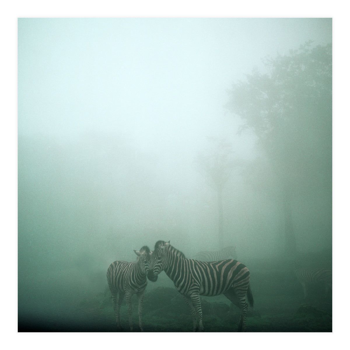 Silence of breath - 11 (Print Only)