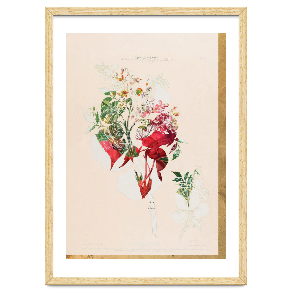 The First Plant · Aufbluehen