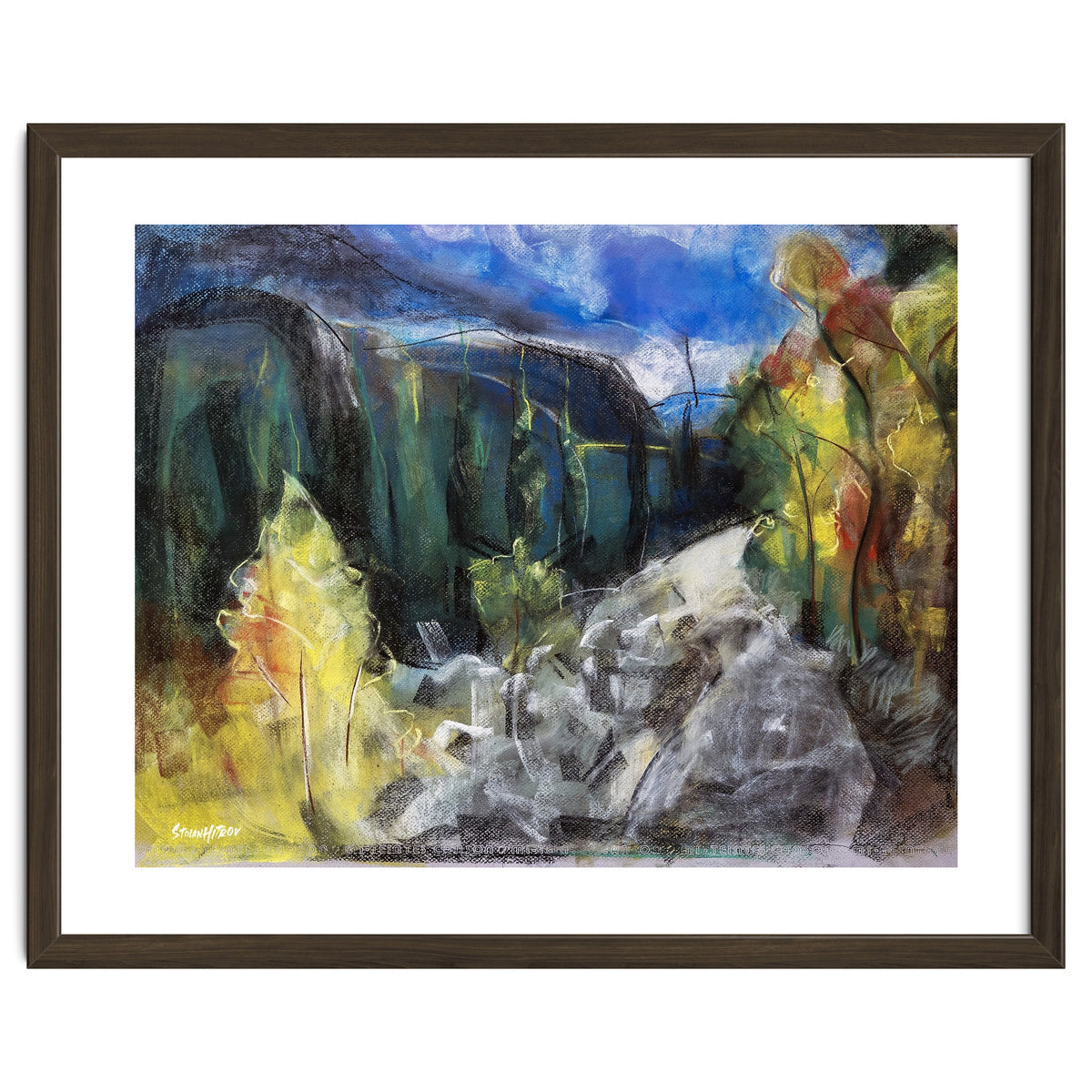 The Forest of Rila Mountain