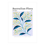 Australian Flora: Golden Wattle (Print Only) thumbnail