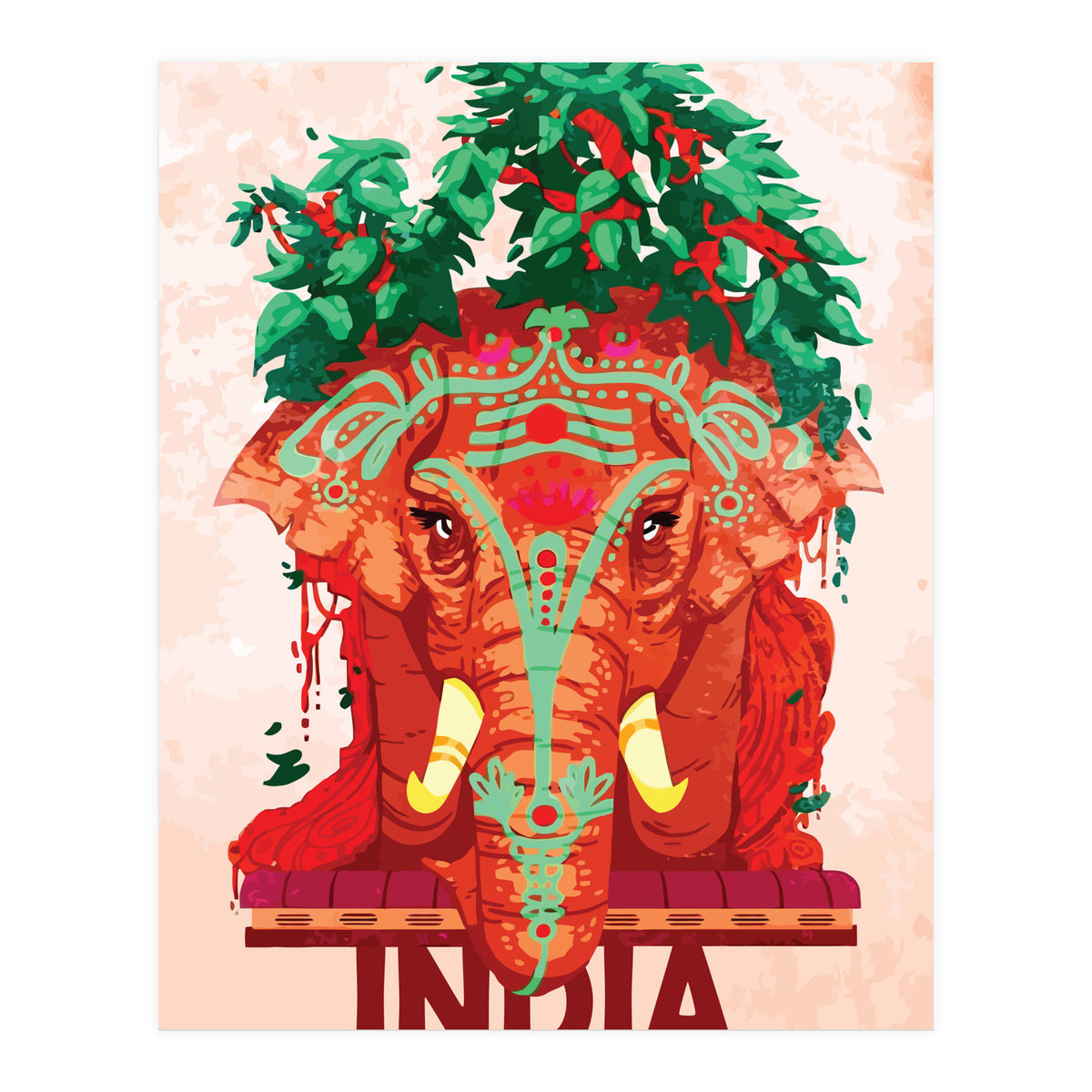 Captivating India (Print Only)