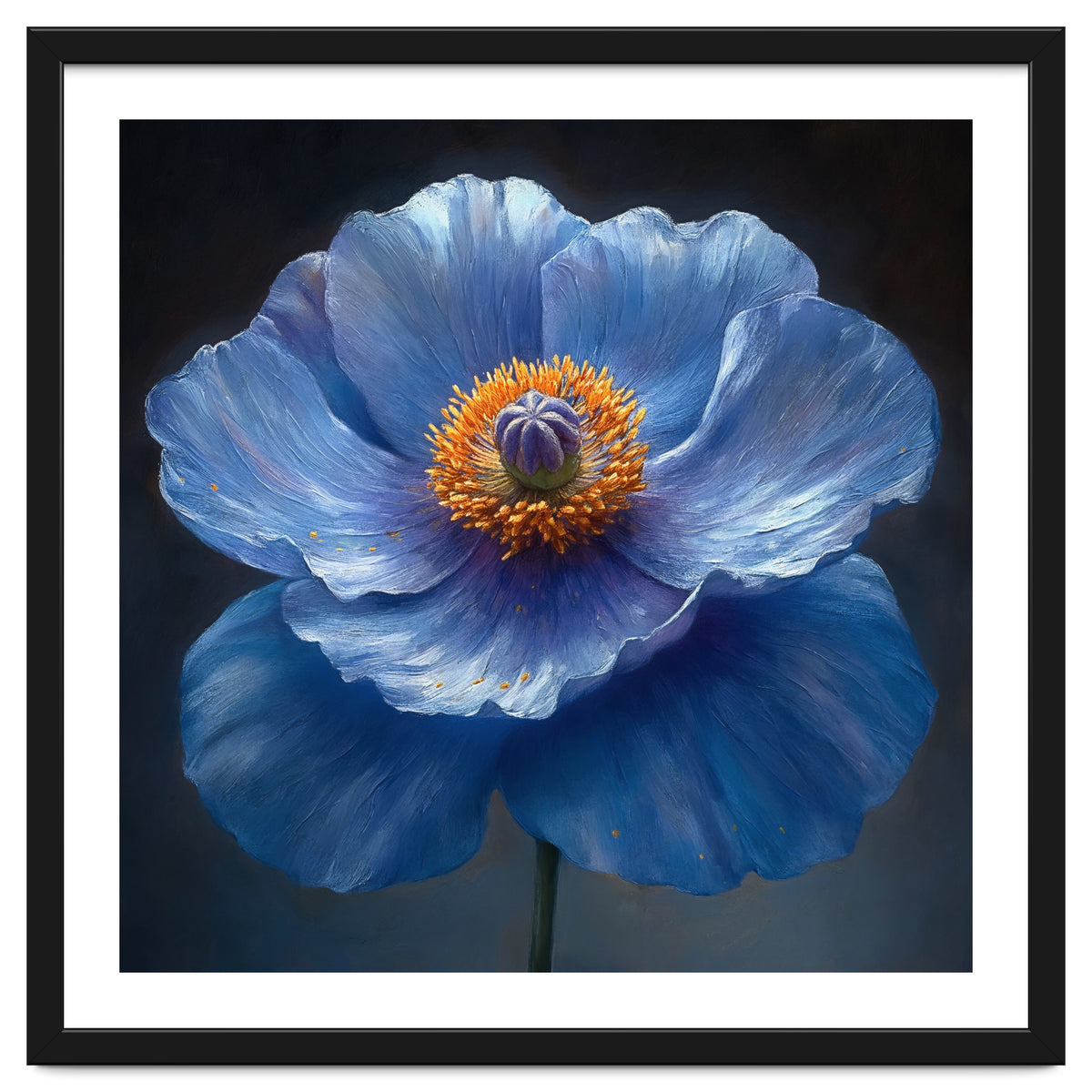 Meconopsis | Sapphire Serenade