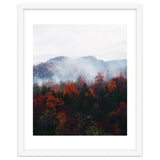 Fog thumbnail