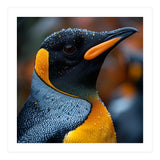 King Penguin With Water Droplets In Rain (Print Only) thumbnail