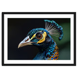 Close-up of a Peacock’s Head thumbnail