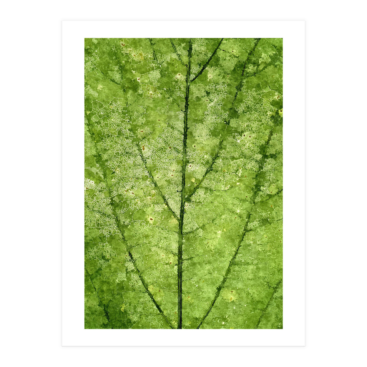 Nature Veins (Print Only)