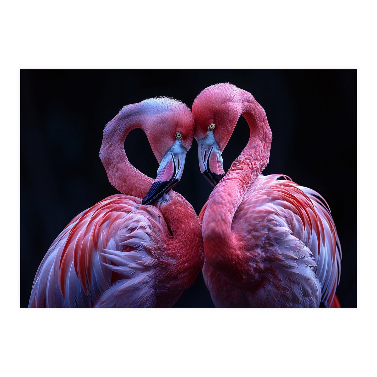 Two Pink Flamingos Forming A Heart Shape (Print Only)