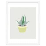 Succulent V1 thumbnail