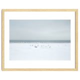 Seagulls in the Snow beach thumbnail