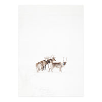 Reindeer in the snow (Print Only)
