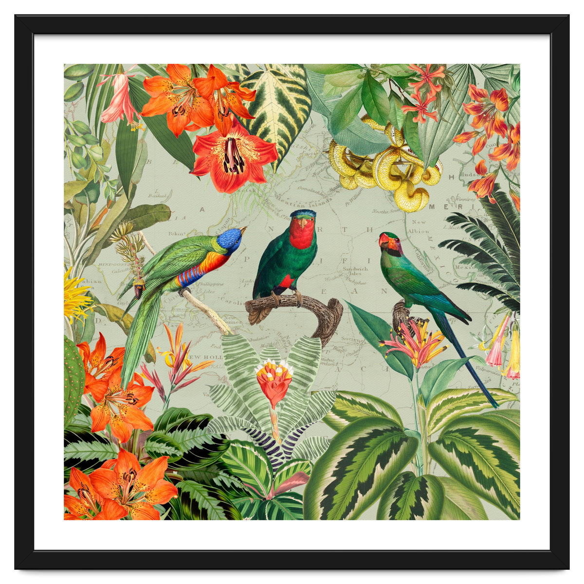 Exotic Parrots Jungle Landscape