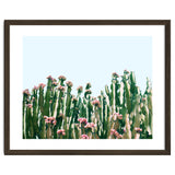 Blush Cactus #society6 #decor #buyart thumbnail