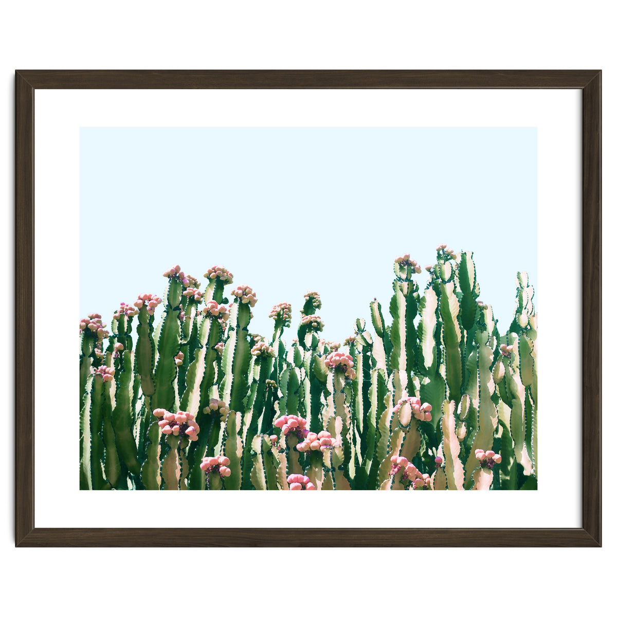 Blush Cactus #society6 #decor #buyart
