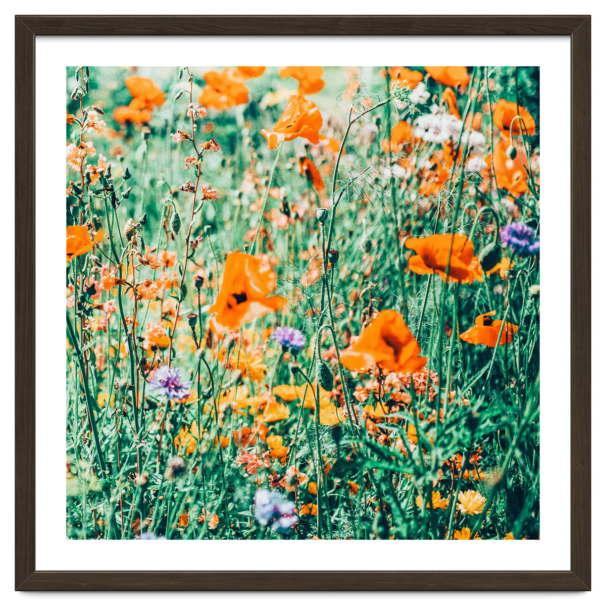Eva | Nature Floral Meadow Garden | Photography Botanical Spring Bohemian Flowers