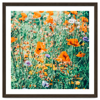 Eva | Nature Floral Meadow Garden | Photography Botanical Spring Bohemian Flowers