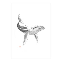 Whale (Print Only)