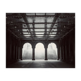 Levitation (Print Only) thumbnail