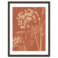 Wildflowers II