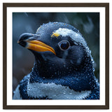Macro view of a Penguin with Water Droplets thumbnail