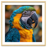 Blue And Yellow Macaw Parrot Close Up Portrait thumbnail