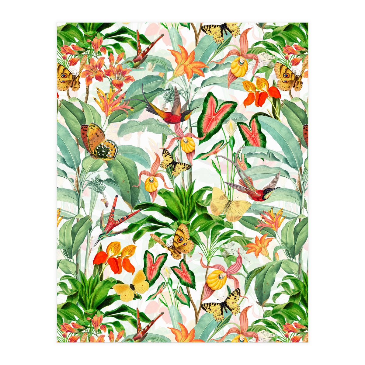 Birds And Butterflies In Tropical Jungle (Print Only)