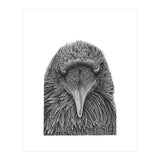 Muninn (Print Only) thumbnail