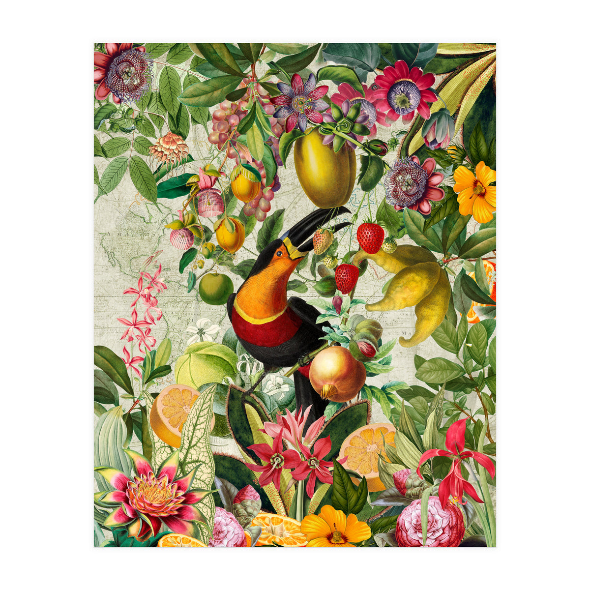 Toucan vintage jungle 1 (Print Only)