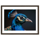 Close Up Peacock Head Blue Green Feather thumbnail