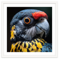 Close-up Portrait of a Vibrant Parrot