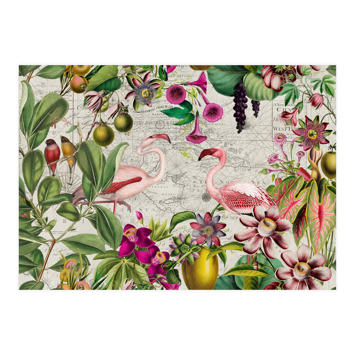 Flamingo Island 2 (Print Only)