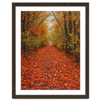 Lush Autumn Forest Path Covered