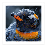 Close Up Penguin In Snow With Water Droplets (Print Only) thumbnail