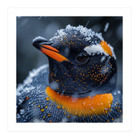 Close Up Penguin In Snow With Water Droplets (Print Only)