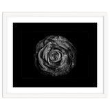 Backyard Flowers In Black And White No 72 with Border thumbnail