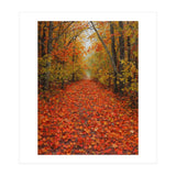 Lush Autumn Forest Path Covered (Print Only) thumbnail