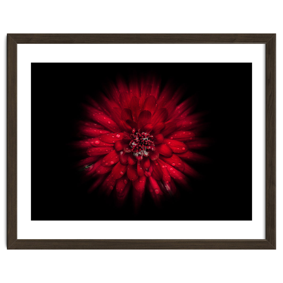 Backyard Flowers No 45 Color Flow Version