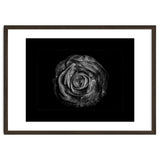 Backyard Flowers In Black And White No 72 with Border thumbnail