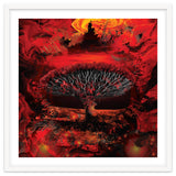 Socotra Dragon Blood tree thumbnail