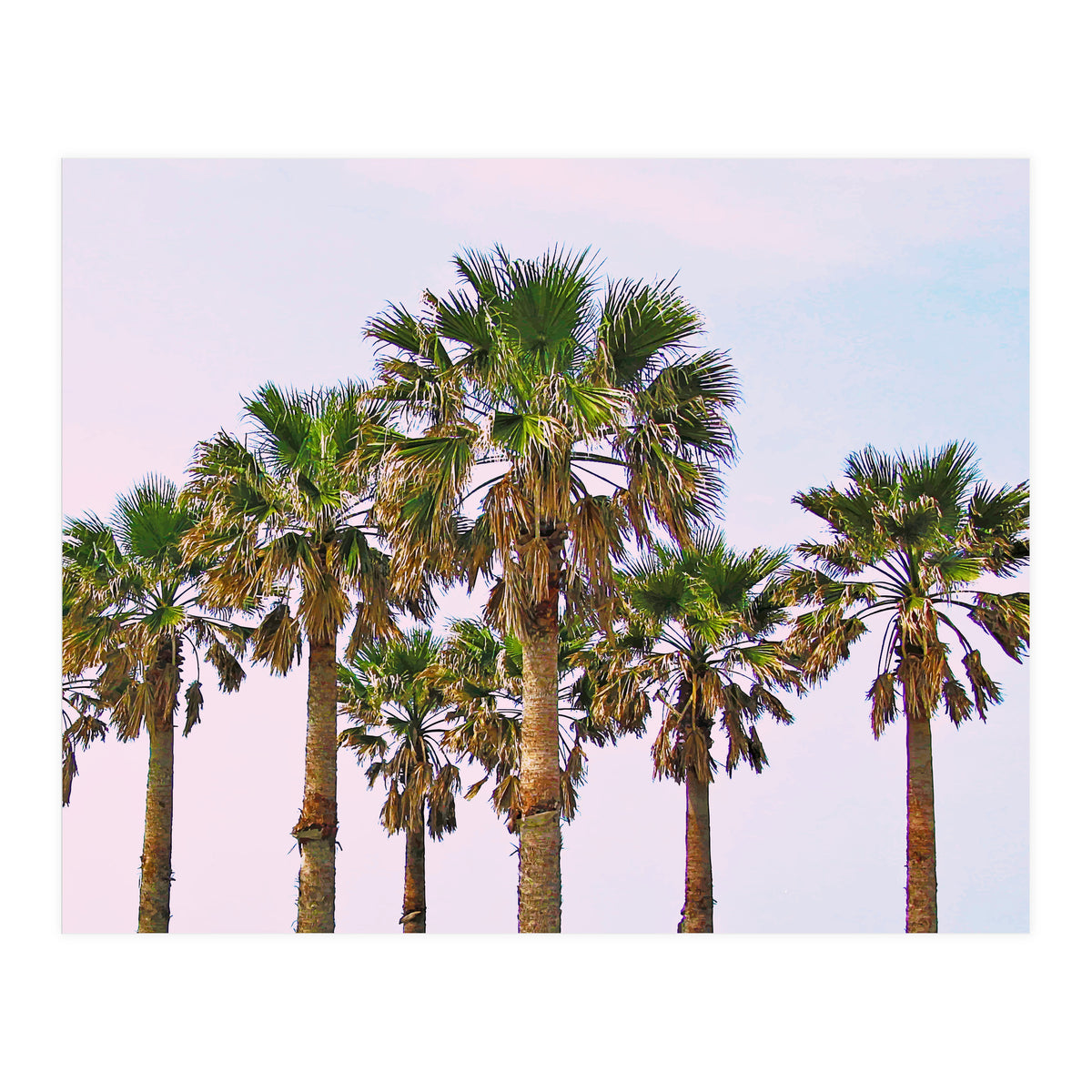 Vacay || #society6 #decor #buyart (Print Only)