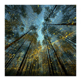 Enchanted Night Forest with Glowing Fireflies (Print Only) thumbnail
