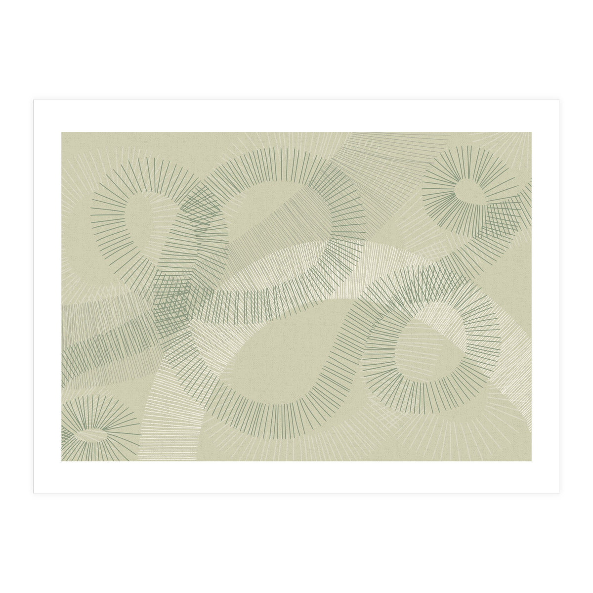 calming essentials Curved Lines soft sage (Print Only)