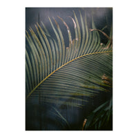 Palm behind the glass (Print Only)