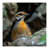 Colorful Bird Perched Among Rocks And Foliage (Print Only) thumbnail