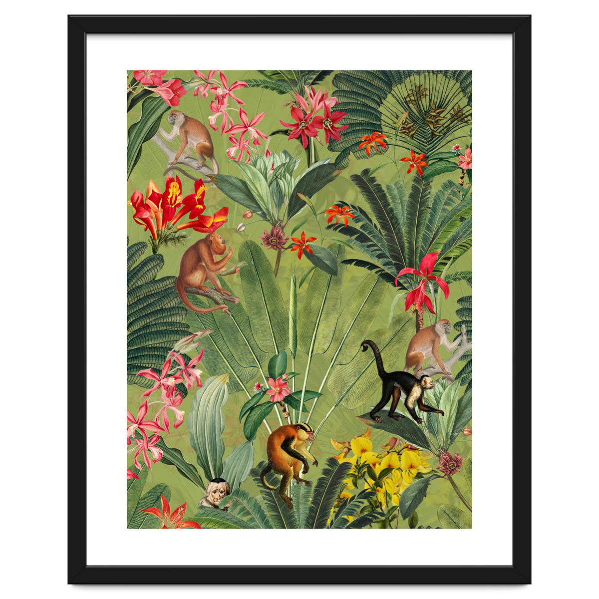 Monkeys In Tropical Jungle Paradise