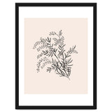 Acacia Botanical illustration thumbnail