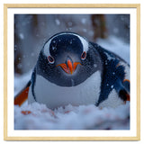 Close Up Gentoo Penguin In Snowy Landscape thumbnail