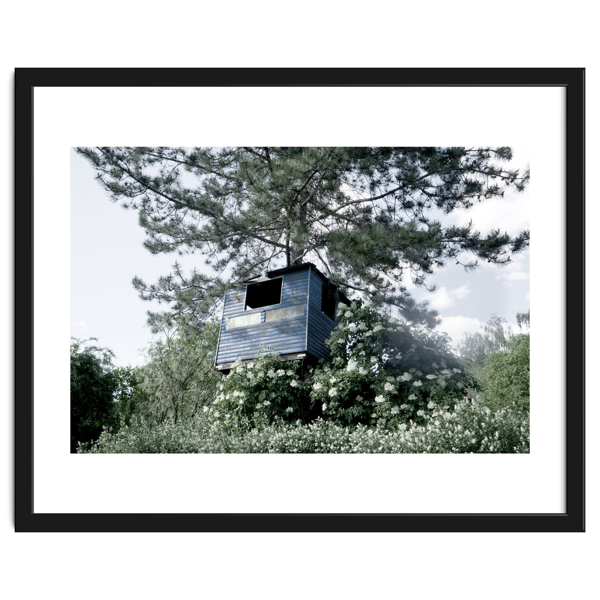 Blue hut on the tree